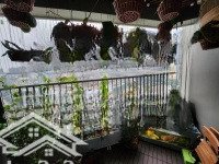Bán Căn Hộ Cc Yên Hòa Sunshine Vũ Phạm Hàm 105M2 Full Nt Đẹp Giá Chỉ Hơn 8 Tỷ 0903279587