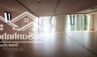 Cho Thuê Văn Phòng 115M2 Tại 82 Tuệ Tĩnh, Hai Bà Trưng