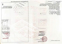 Bán Sỉ 7 Nền Đất Liền Kề, Hoặc 38 Nền, Sh Thổ Cư,, Hồ Văn Huê, Phước Tân, Biên Hòa, Giá 19 Triệu/1M2