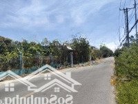 Bán Đất Duyên Hải, 67,5 Tỷ, 2500M2, Sổ Đỏ Đầy Đủ, Cần Giờ, Hcm, Giá Siêu Hời 2 Sổ Có Thể Mua 1000M