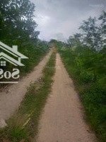 Bán Đất Trồng Cây Sinh Lời Cao Đất Rẻ Hơn Bán Cây