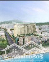 Cần Bán Nhanh Căn Hộ Tầng Thấp 2 Phòng Ngủfull Nội Thất Hướng Đông Nam Giá Bán Lỗ Thu Hồi Vốn