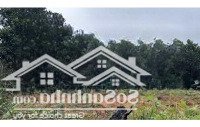 Bán Lô Đất 800M2 Mặt Đường Quy Hoạch 30M Cực Đẹp Tại Vân Đồn, Quảng Ninh. Đầu Tư Rất Tiềm Năng
