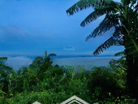 Đất View Hồ Trị An Giá Tốt Nhất Khu Vực
