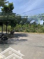 Lô Đất Vip Nhất Khu Dân Cư Nam Ntt Sát Cây Xăng Gia Nguyễn Tâm