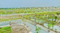 Đất Nền Nhà Phố Trung Tâm Thủ Thừa Long An