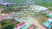 Bán Đất Tại Xã Lộc Phú, Bảo Lâm, Lâm Đồng, 30 Tỷ (Thương Lượng Chính Chủ), Thổ Cư Gần 7000M2