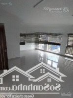 Cho Thuê Lk Mạc Thái Tông 100M, 5 Tầng, Có Hầm, Thông Sàn, Có Thang Máy Làm Vp, Trung Tâm Giá 65 Triệu