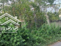 Bân Đất Shr Mặt Tiền Đường Sông Lu 2 Thuộc Xã Hòa Phú Huyện Củ Chi.diện Tích21X 69M = 1474M2 Thổ 700M2