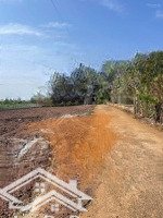 Đất Nền Gia Tân 1, Thống Nhất, Đồng Nai, Giá Bán 1,8 Tỷ, Diện Tích 120 M2 Chỉ Với Hot!