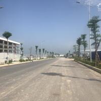 Chuyển nhượng 30.000m2 khu công nghiệp Tiền Hải – Thái Bình