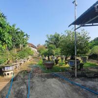 Bán vườn 660m2 hộ khẩu Trương Quang Trọng - 3 tỷ xx- lh 034 846 8889