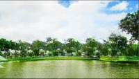 Đang Tìm Căn Hộ Đẹp Gía Tốt Ở Ngay? Celadon City - Chính Là Lựa Chọn Hoàn Hảo Nhất! Liên Hệ Ngay