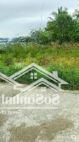 Nhà Mình Cần Bán Nhanh Lô Thổ Cư Ngang 6M Tại Ninh Thượng, Ninh Hoà Giá 250 Triệu