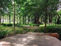 Celadon City Căn Hộ Cao Cấp Ngay Aeon Tân Phú Giá Chỉ Từ 6,5 Tỷ!Liên Hệ : 0968.90.3939