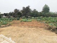 Bán Đất Xã Tân Xã, Thạch Thất, Hà Nội, 37,5 Triệu / M2, 60M2 Hot!