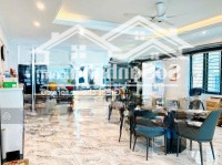Nhà 6 Tầng Thang Máy Dân Xây Cực Đẹp Phân Lô Trung Tâm Lê Hồng Phong (C203) Liên Hệ: 0917696698