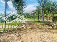 Đất Dân Cắt Bán Thanh Mỹ, Ninh Quang - Ninh Hoà Cách Uỷ Ban, Chợ Mới, Trường Họcdiện Tích138M2 539 Triệuiêu