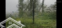 Siêu Phẩm Nghỉ Dưỡng View Suối Ruộng Núi, Nở Hậu Mặt Tiền 26M Sổ Đỏ Sang Tên Trong Ngày!