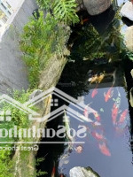 Bán Penthouse Nghỉ Dưỡng Tại Ecopark 3 Tầng, 400M², Hồ Cá Koi & Vườn Nướng Bbq, Giá Bán 21 Tỷ
