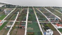 Chị Gái Em Cần Tiền Cắt Lỗ Mảnh Này Trục Chính Biển Quất Lâm Nam Định Vài Bước Chân Lên Bãi Tắm 1