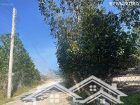 Chỉ 800 Triệu Lô Đất 113M2 Odt Lô 2 Trưng Trắc - Tân An - Tx Lagi Sổ Riêng Đường Bê Tông