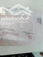 Hàng Siêu Hiếm Bán 2 Lô Dãy 46M2 Tđc Cây Đa