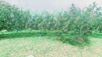 Bán Đất Tại Thị Trấn Ba Hàng Đồi, Lạc Thủy, Hòa Bình, 650 Nghìn / M2, 3900 M2 - Hàng Hiếm Giá Tốt