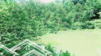 1 Lô Duy Nhất - Bán Đất Đẹp Tại Xã Thanh Sơn, Lương Sơn, Hòa Bình, Giá Chỉ 350K/ M2, 11.000 M2