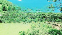 1 Lô Duy Nhất - Bán Đất Đẹp Tại Xã Thanh Sơn, Lương Sơn, Hòa Bình, Giá Chỉ 350K/ M2, 11.000 M2