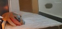Cho Thuê Căn 1 Phòng Ngủmasteri Thảo Điền Chỉ 16 Triệu/Tháng! 0914191906