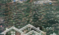 Cần Bán 10Ha Skc Đã Đóng Tiền 1 Lần Tại Bích Động Bắc Giang Cách Khu Công Nghiệp Lớn 6Km Giá Rẻ