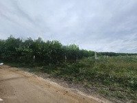 Bán Lô Đất Khánh Đông, Khánh Vĩnh Giá Đầu Tư Tốt