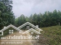 Bán Lô Đất Khánh Đông, Khánh Vĩnh Giá Đầu Tư Tốt