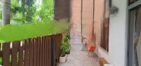 Bán Căn Hộ Duplex Tầng Trệt 4 Phòng Ngủ 3 Vệ Sinh155M2 Tại Palm Heights, 11,5 Tỷ, Q2, Hcm