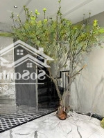 Bán Nhà Trần Xuân Soạn, 42M 7 Tầng,Thang Máy, 10M Ra Ô Tô, Xây Mới Nội Thất Châu Âu Xem Là Chốt.