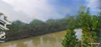 Bán Vườn Mít, Sầu Riêng: 31.500M² (Mặt Tiền 30M, Nở Hậu) Đường Nhựa 3.5M, Xã Phương Thịnh