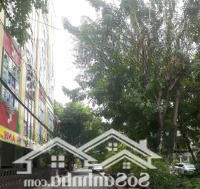 Nhà Phong Thuỷ Tốt Sức Khoẻ Ngay Nguyễn Minh Hoàng Vip Nhất K300, 79M2, 7 Chỗ Ngủ, 4 Phòng Ngủlớn, 9,72 Tỷ