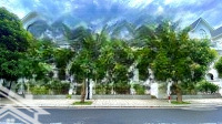 Song Lập Hải Âu 3 Giá Tốt Nhất Dòng Song Lập Tại Vinhomes Ocean Park 1 Gia Lâm
