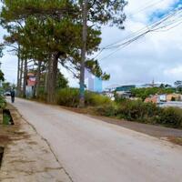 Bán Đất mặt tiền đường Lâm Văn Thạnh, Phường 11, Đà Lạt 532,9mv