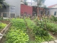 Đào Xuyên ,Đa Tốn ,Gia Lâm ,Hà Nội 76,5M2