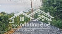 Bán Đất Long Hòa, Cần Đước, 1,25 Tỷ, 145M2, Pháp Lý Đầy Đủ, Uy Tín!