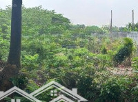 Bán Đất Cách Đường Đê Bao Sông Sài Gòn 50M