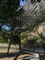 Bán Đất Nền Dự Án Đẹp Tại Khu Dân Cư Thủ Thiêm Villa, 31,36 Tỷ, 224M2