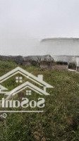 Bán Đất Tại Xã Quất Động, Thường Tín, Hà Nội, 28 Triệu / M2, 88 M2. Đường Ô Tô Vào Nhà