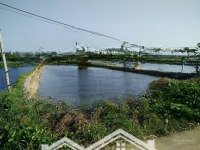 Đất Trà Quế Chính Chủ, View Sông Cổ Cò, Hai Mặt Tiền