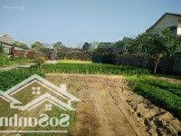 Đất Trà Quế Chính Chủ, View Sông Cổ Cò, Hai Mặt Tiền