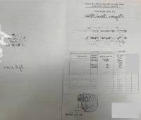 Bán Lô Hoa Hậu Tại Khoái Châu Hưng Yên!