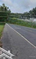 Bán Đất Mặt Tiền Quốc Lộ 55 Xã Bưng Riềngdiện Tíchgần 1000M2 Có 100M2 Thổ Cư Gần Trường Học, Cơ Quan