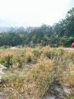 Còn Duy Nhất Miếng Đất Lớn Giá Rẻ Đất Gần Đường Lớn 64M Là Phường Thị Xã Chơn Thành Bp Có 12M Mặt T